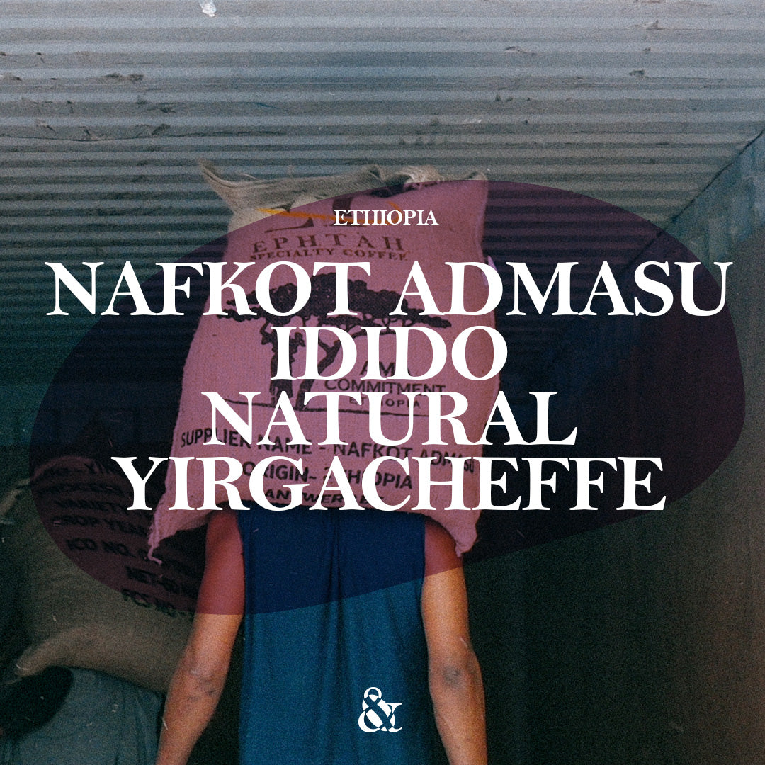 Nafkot Admasu Idido Natural Yirgacheffe