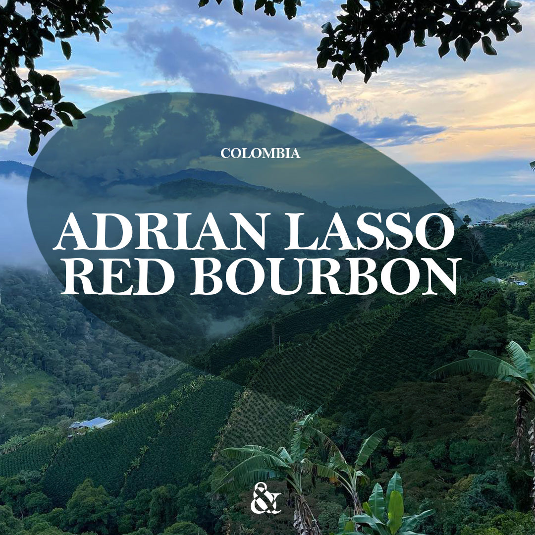Adrian Lasso Red Bourbon