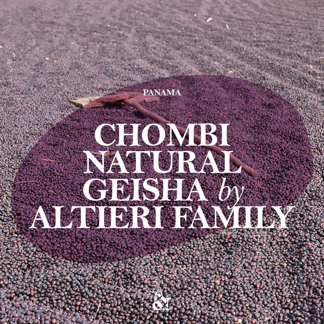Altieri Chombi Natural