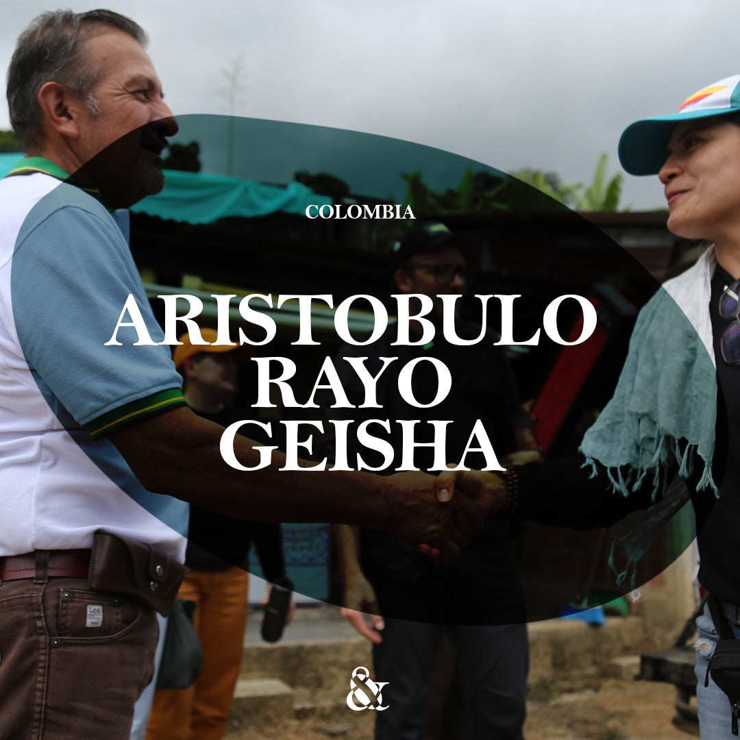 Aristobulo Rayo Geisha