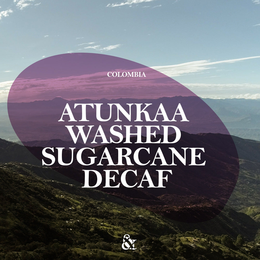Atunkaa Washed Sugarcane Decaf