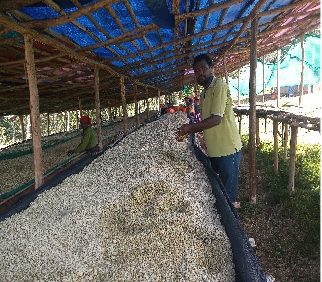 Beshasha Lot 6 by Mustefa Abakeno