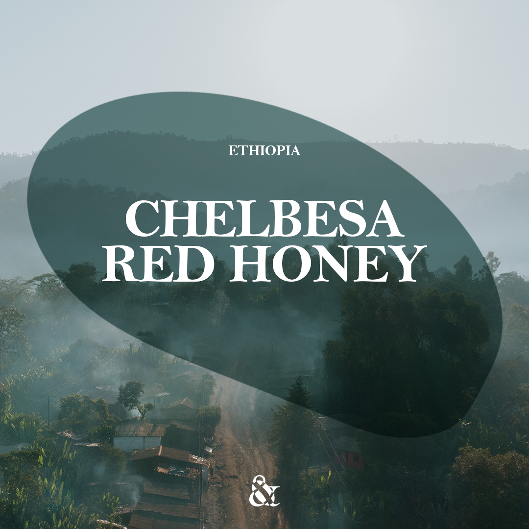 Chelbesa Red Honey
