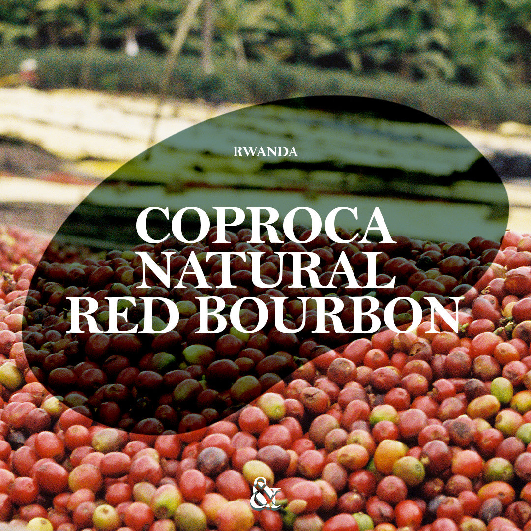 Coproca Natural