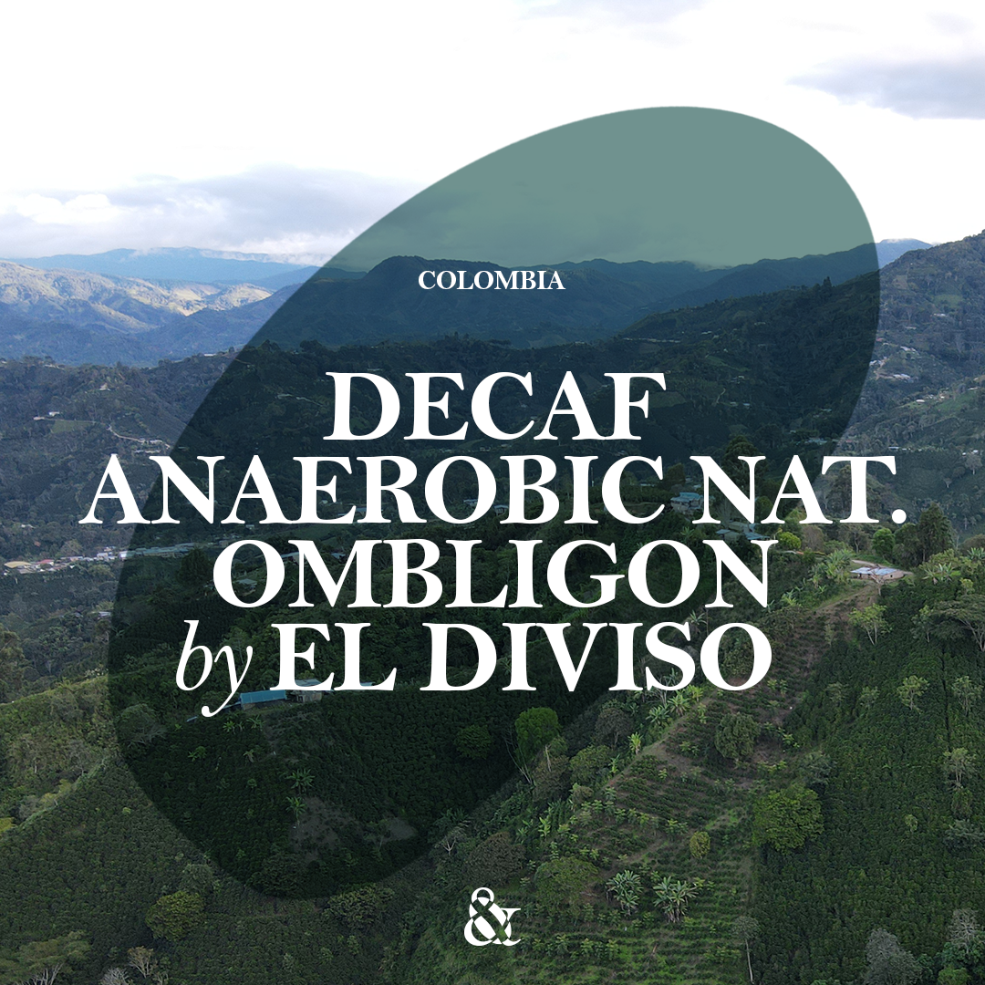 Decaf Anaerobic Natural Ombligon by El Diviso