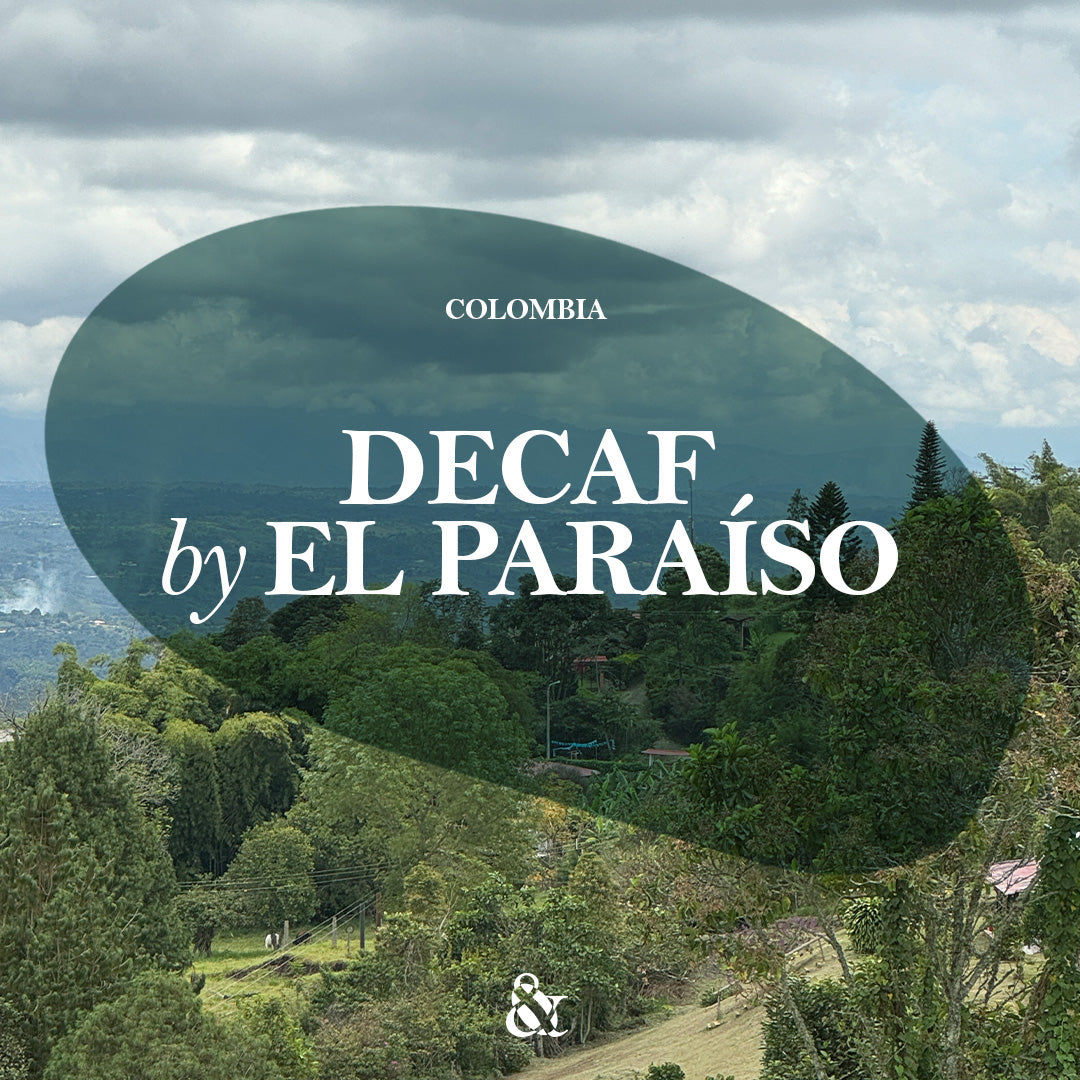 Decaf by El Paraíso