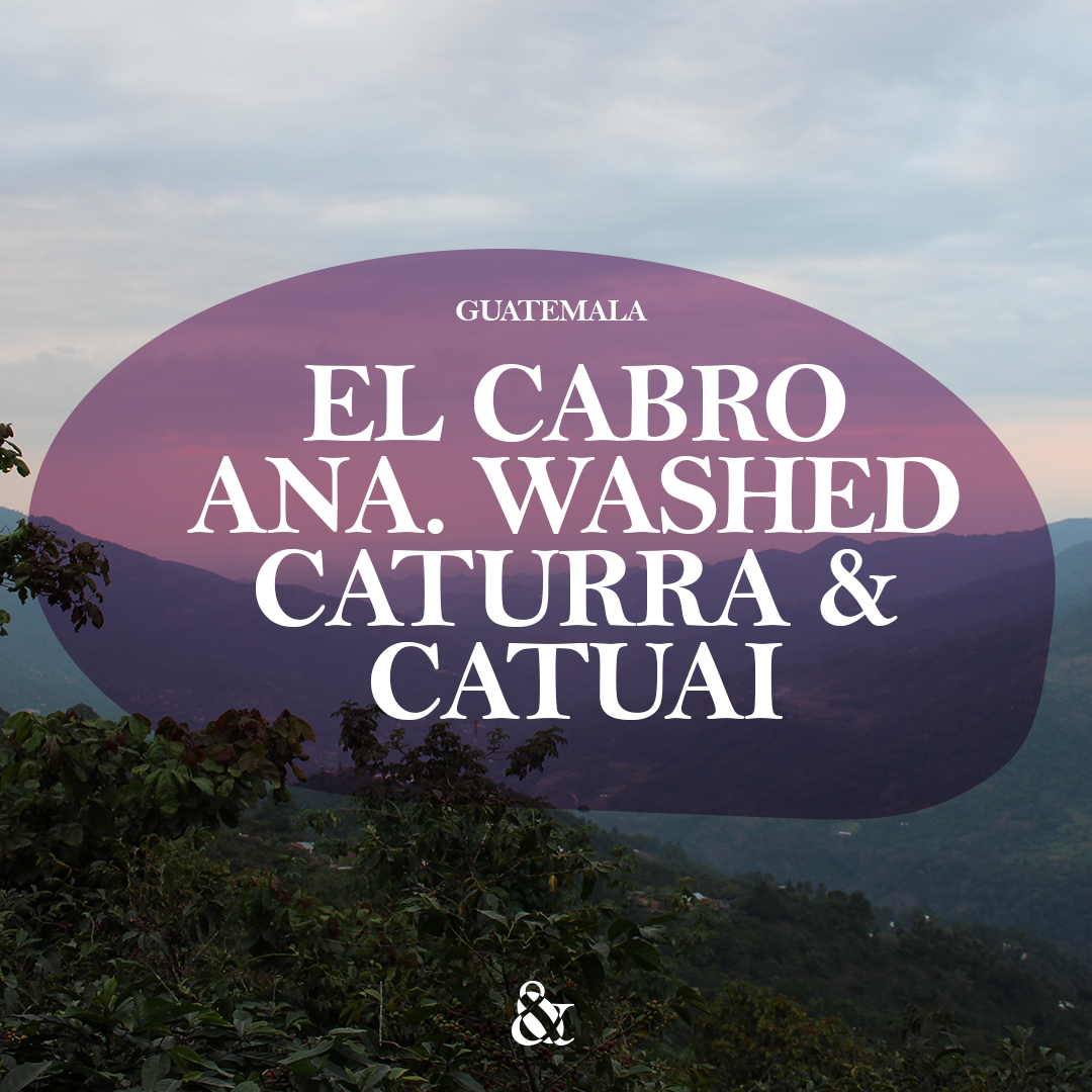 El Cabro – La Bolsa