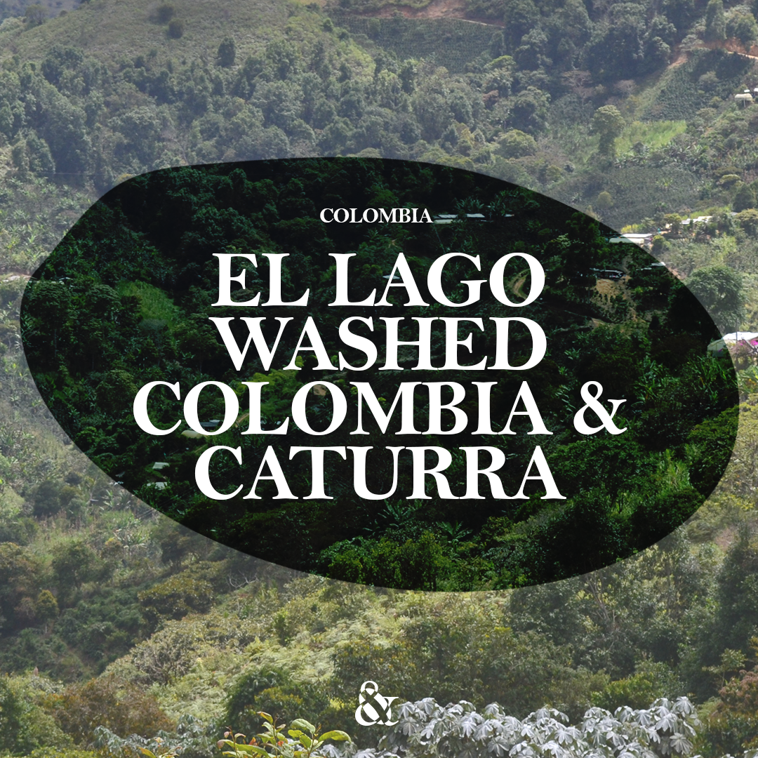 El Lago – Ferney Quipo