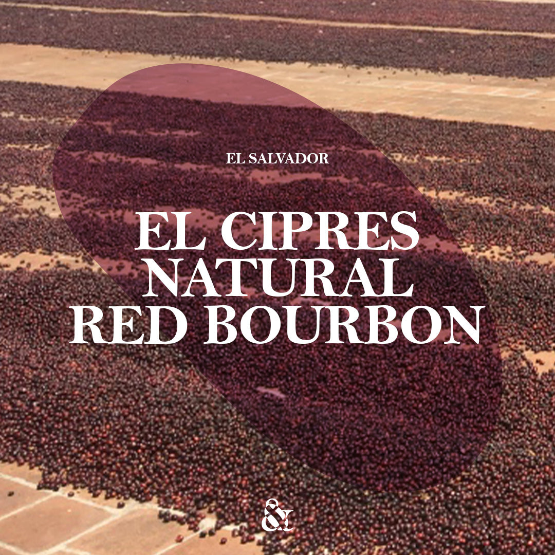 El Cipres Natural Red Bourbon