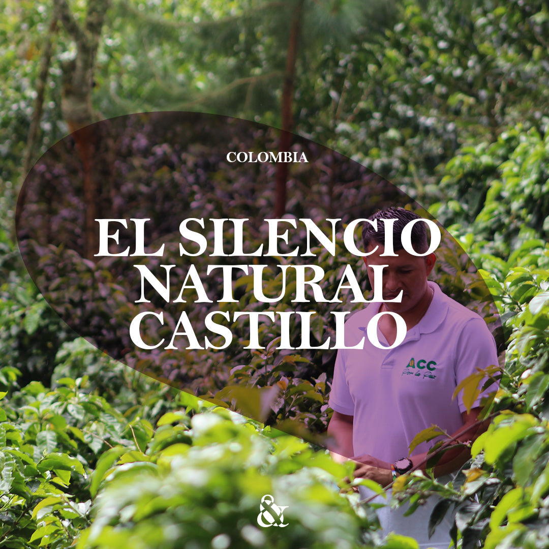 El Silencio Natural Castillo