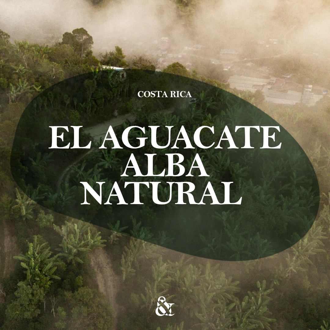El Aguacate Alba Natural