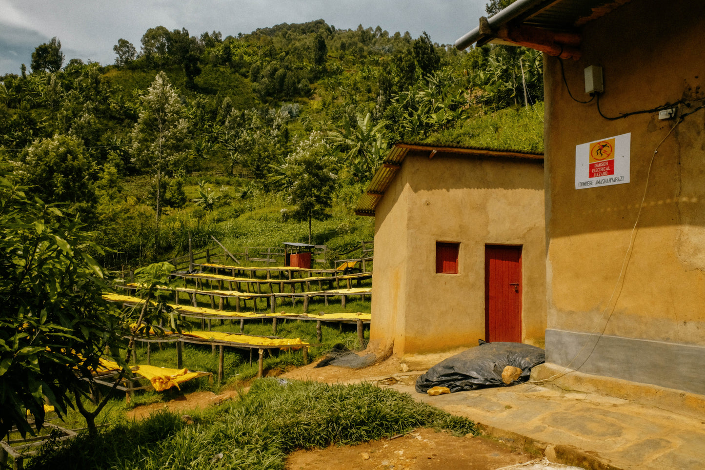 Gitwe Honey Red Bourbon | Green Coffee Bean Supply