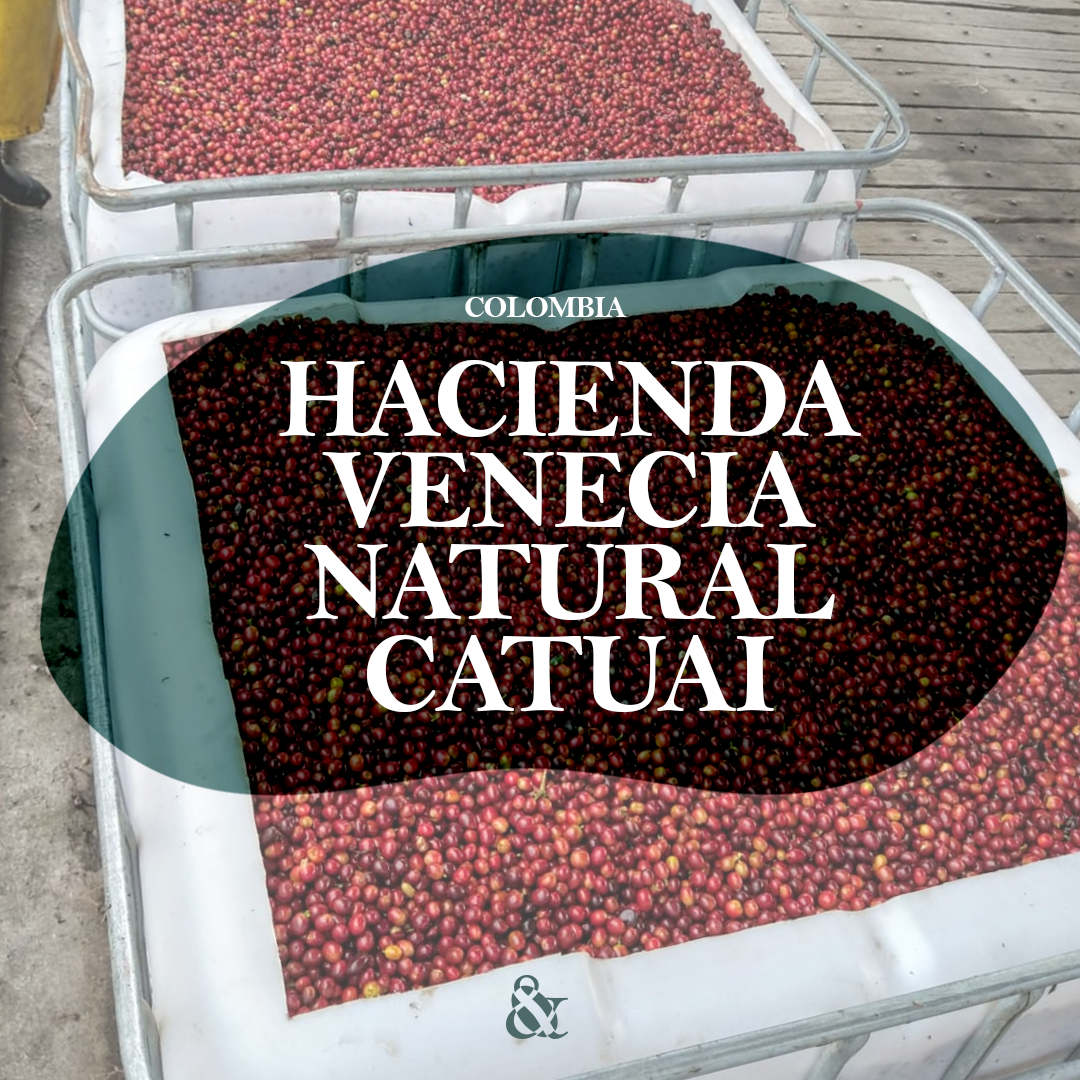 Hacienda Venecia – Juan Pablo Echeverri Londoño