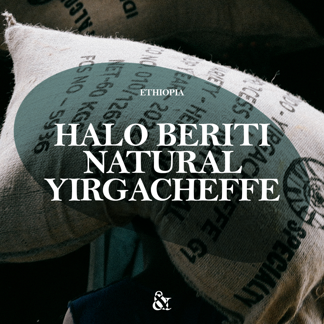 Halo Bertiti Natural Yirgacheffe