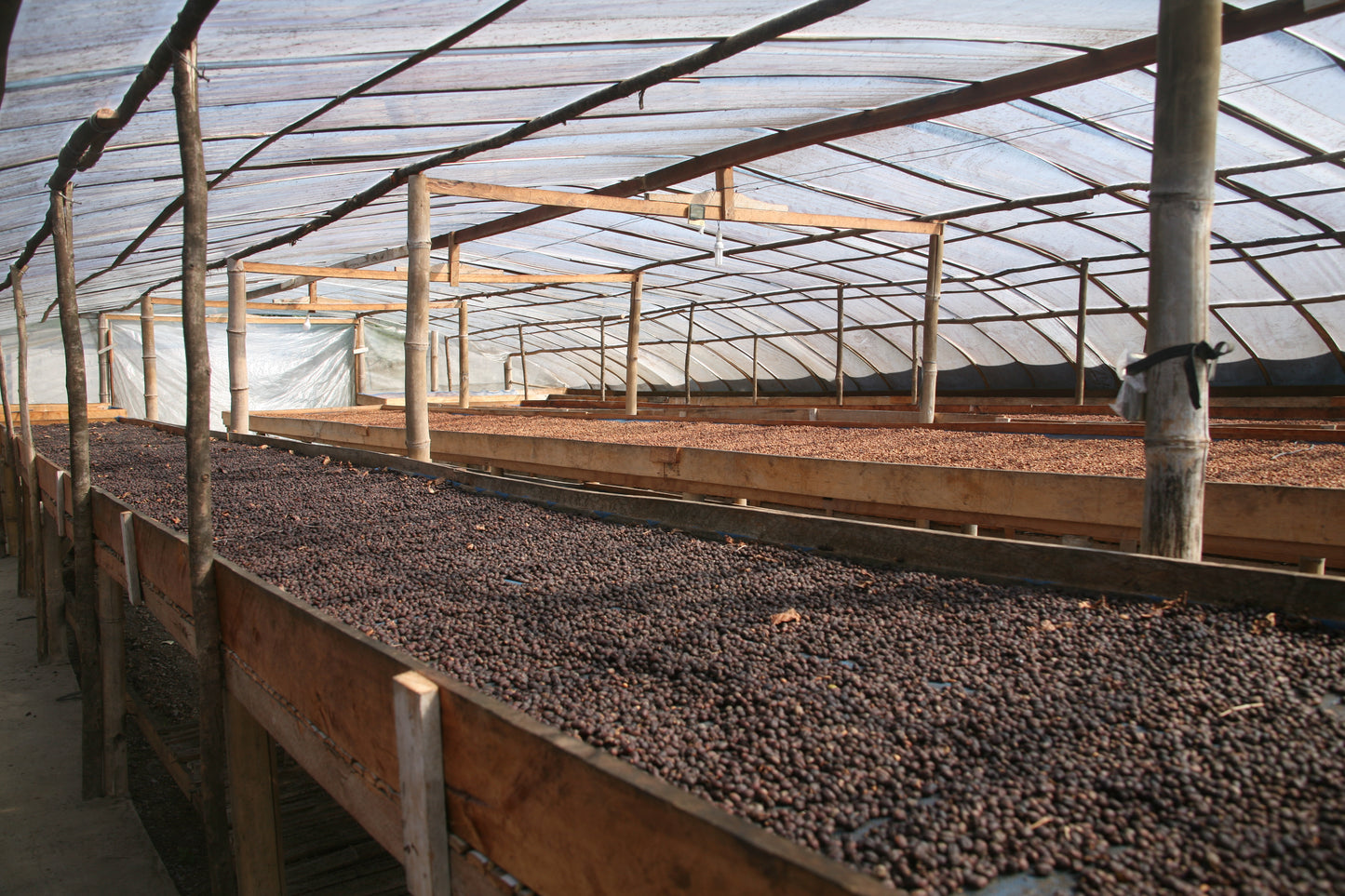 Avatara – Hendra Maulizar