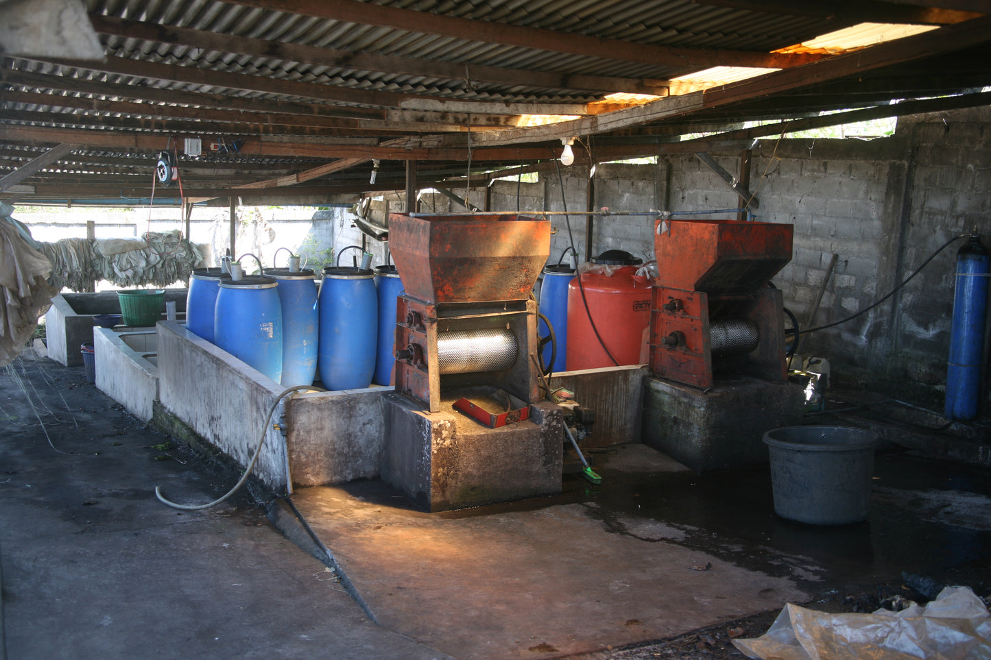 Hendra Maulizar Pegasing Washed