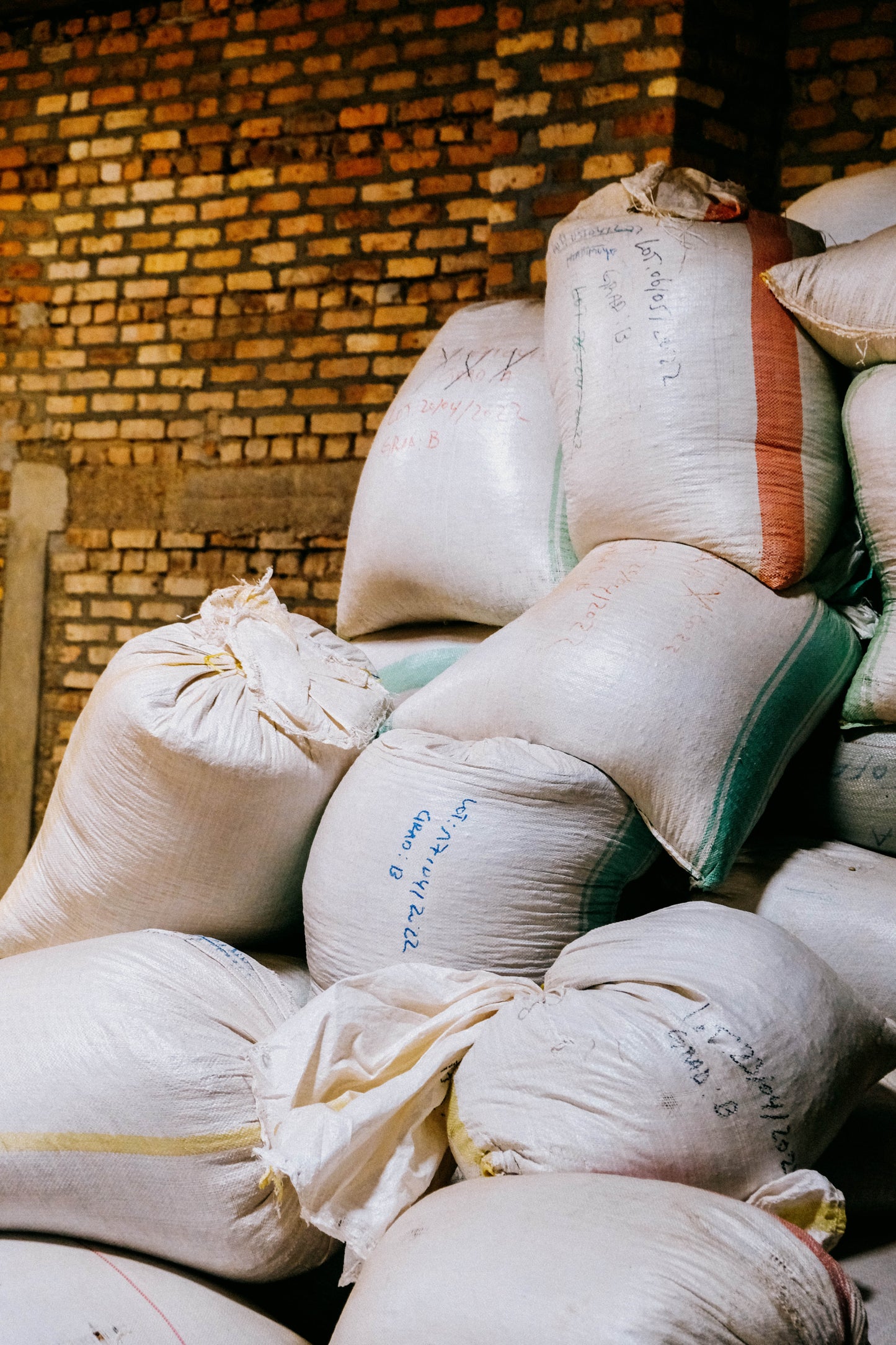 Horizon Washed | And Sons Green Coffee Beans