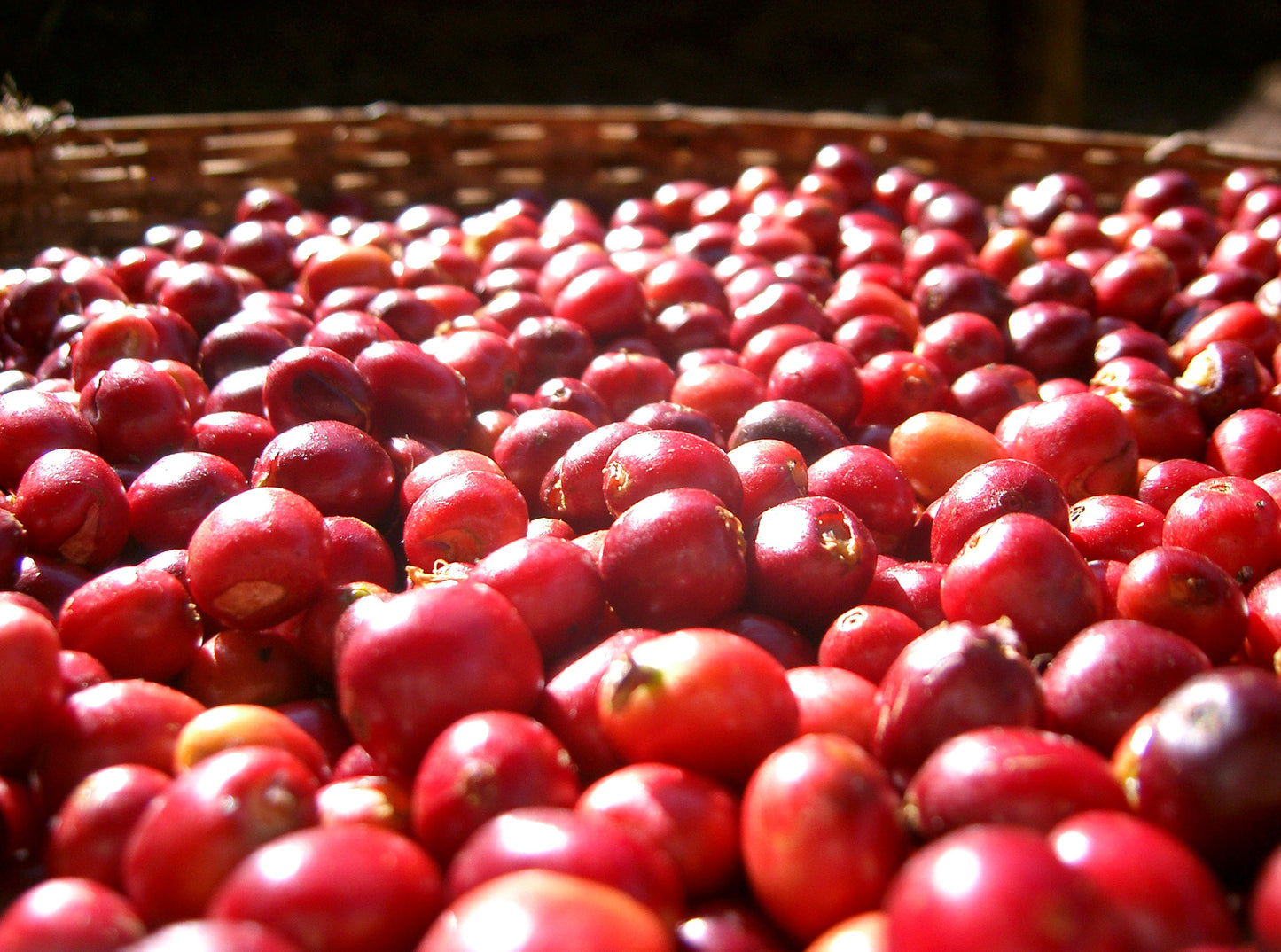 Kennisa Lot 14 – Kata Mudugu Union