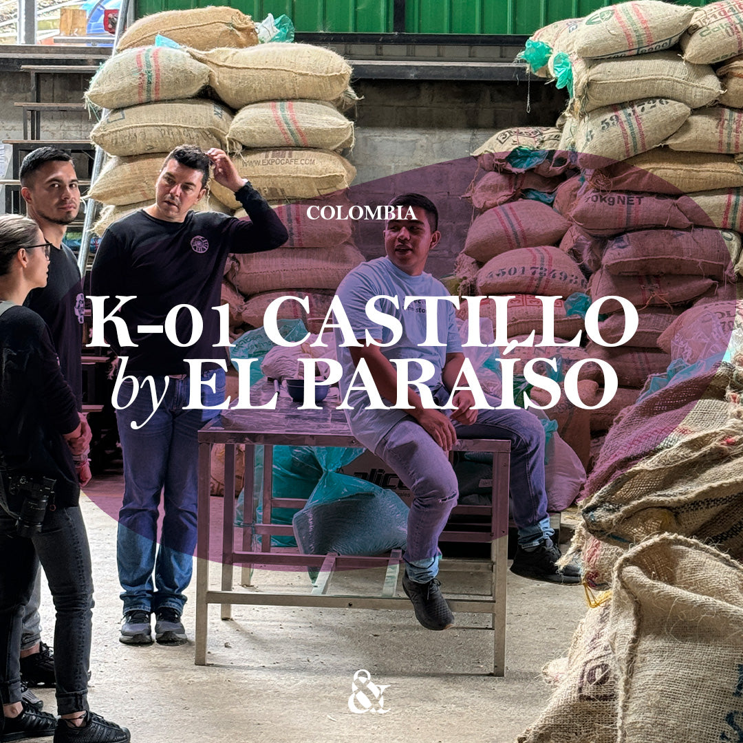 K-01 by El Paraíso