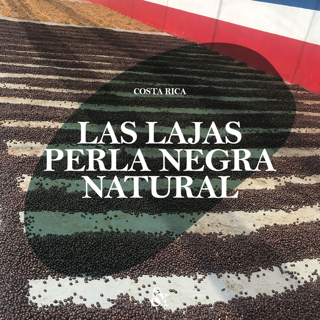 Las Lajas Perla Negra Natural