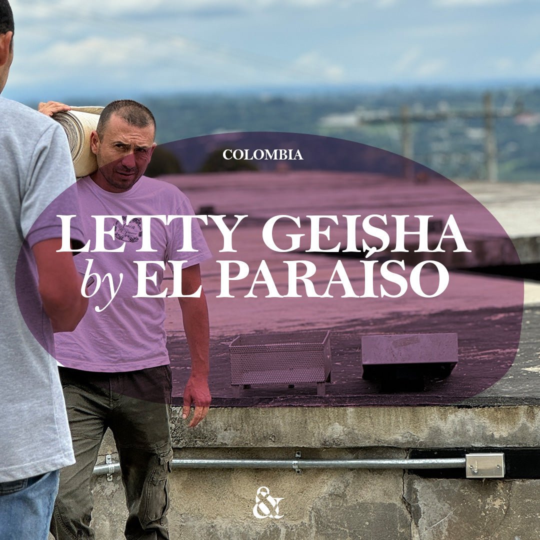 Letty Geisha by El Paraíso