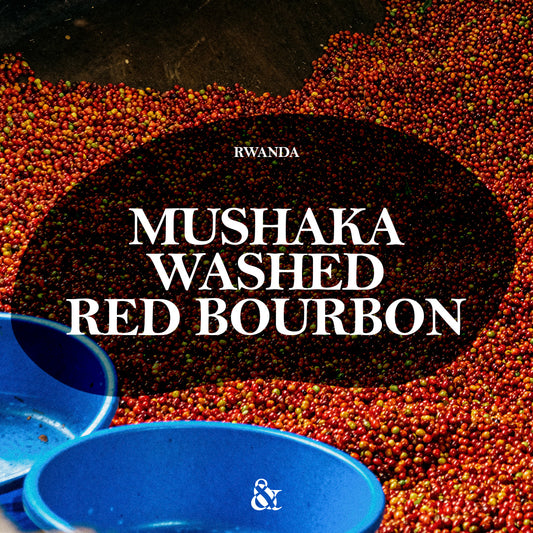 Mushaka Washed Red Bourbon