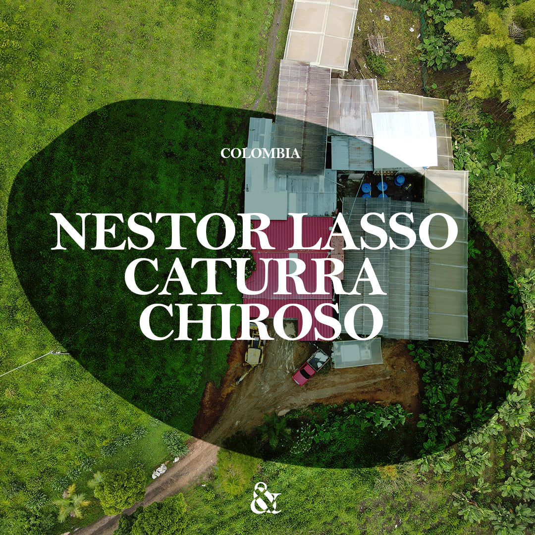 Nestor Lasso 60hr Caturra Chiroso