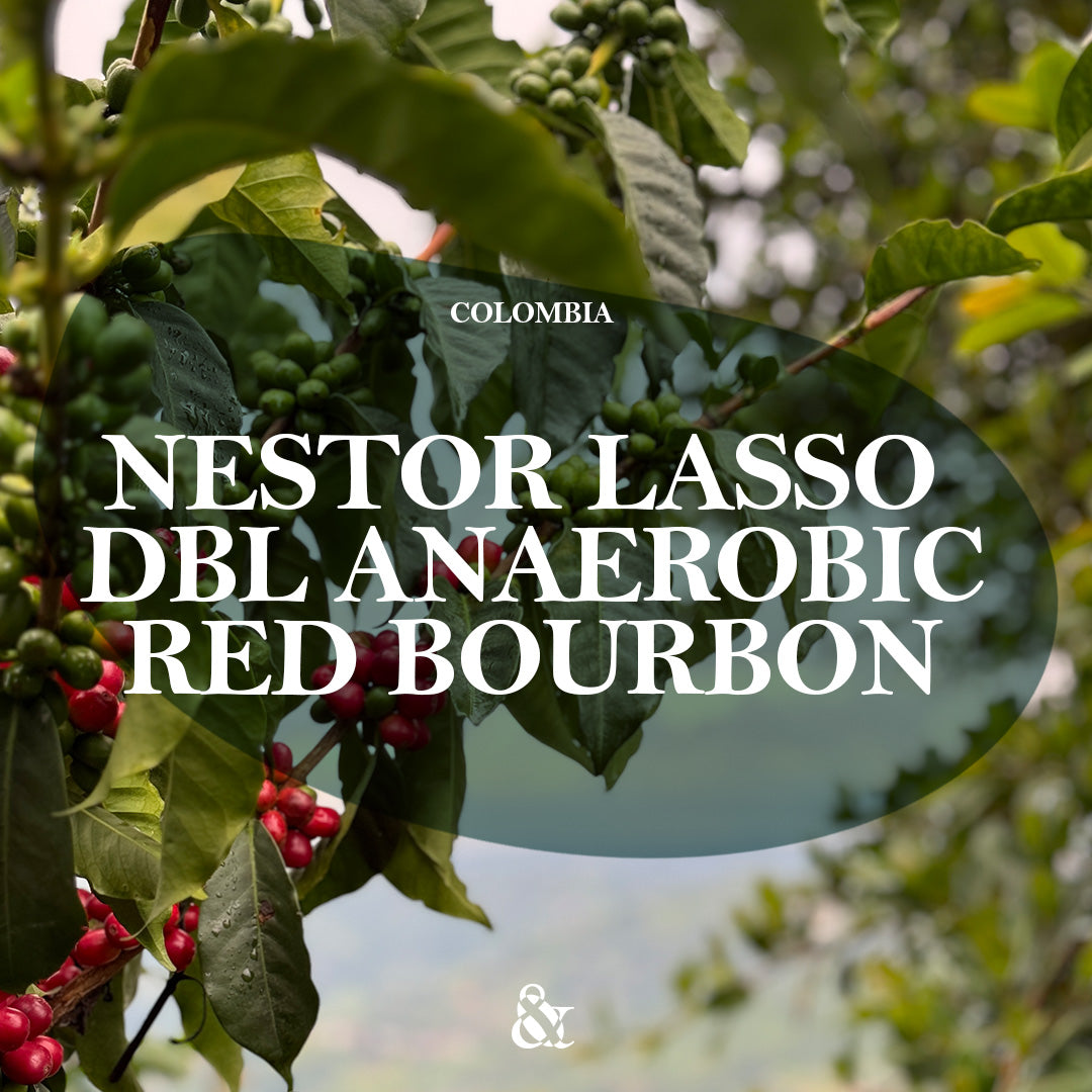 Nestor Lasso Double Anaerobic Red Bourbon