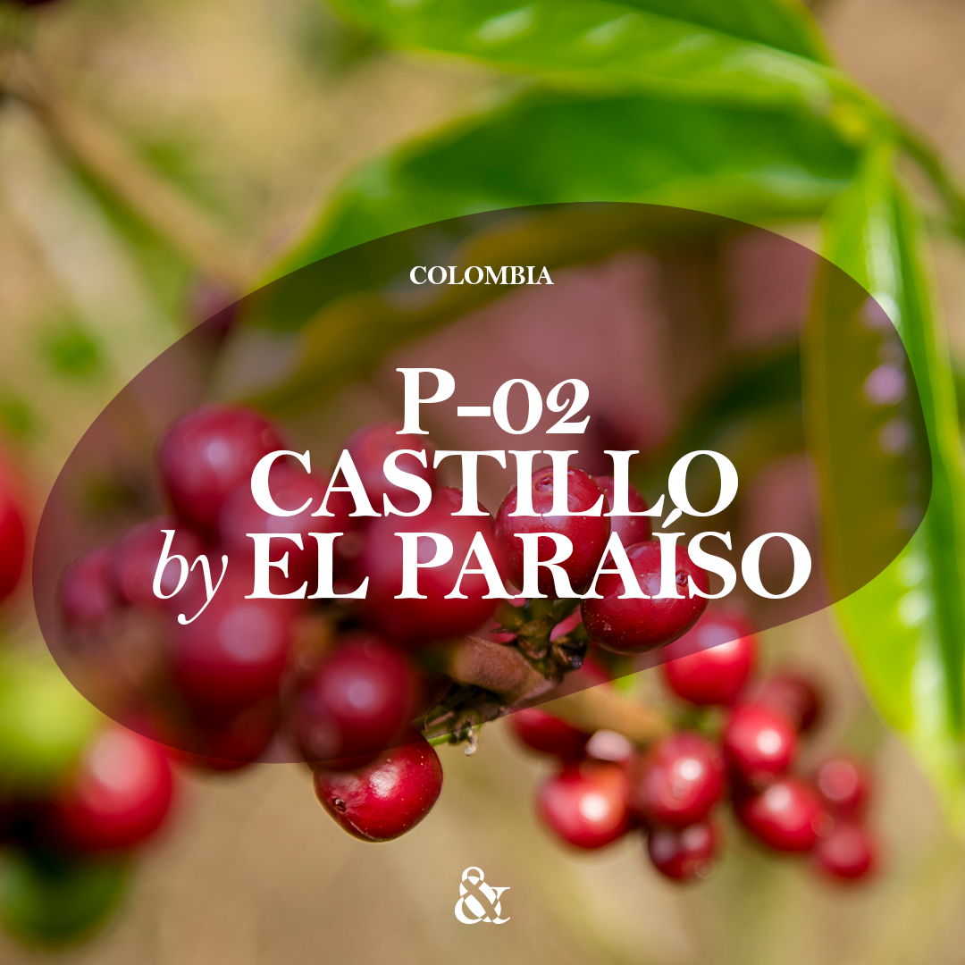P-02 Castillo by El Paraíso