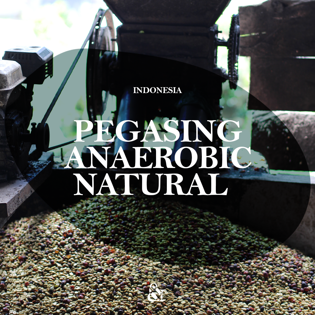 Pegasing Anaerobic Natural