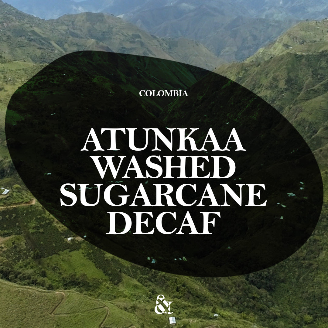 Atunkaa Washed Sugarcane Decaf