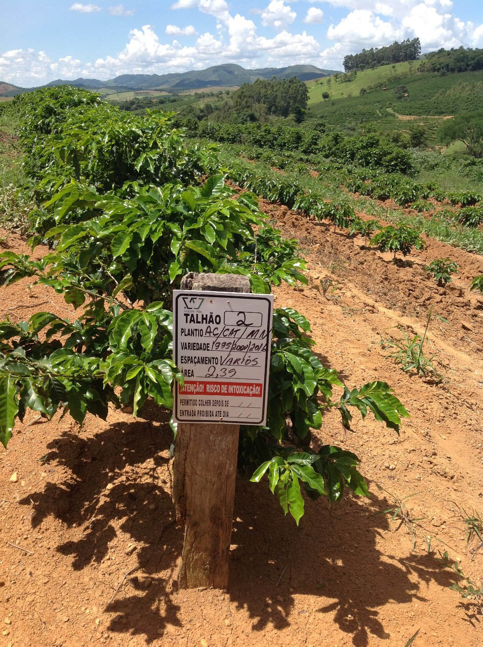 Sitio Urtiga Natural Arara - Transparent coffee supply company