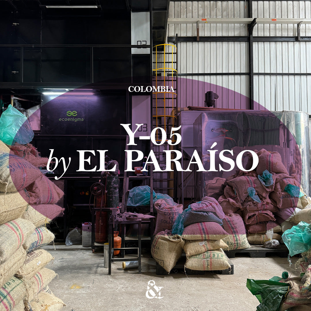 Y-05 by El Paraíso