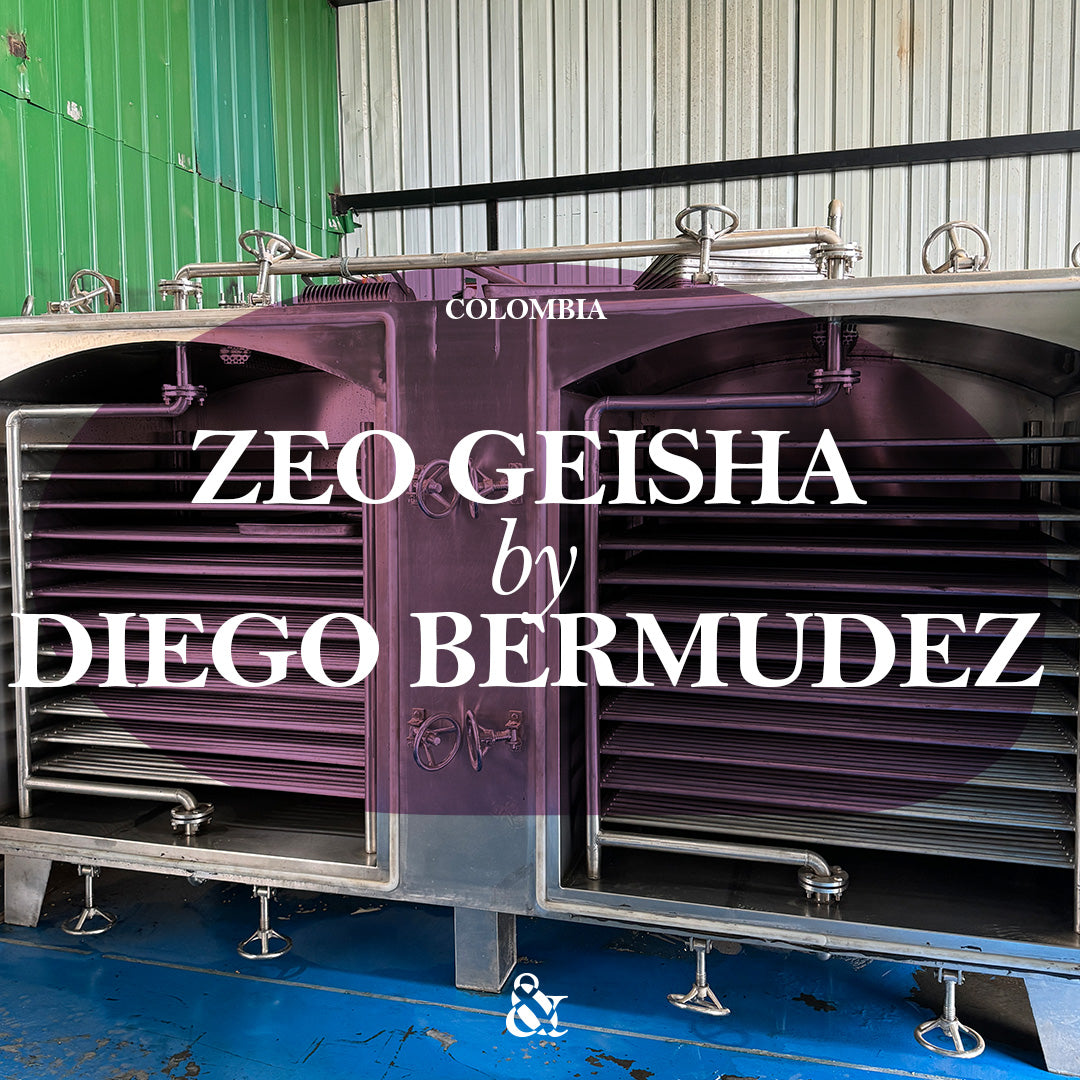 ZEO Geisha by Diego Bermudez