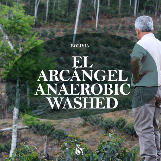El Arcángel Anaerobic Washed