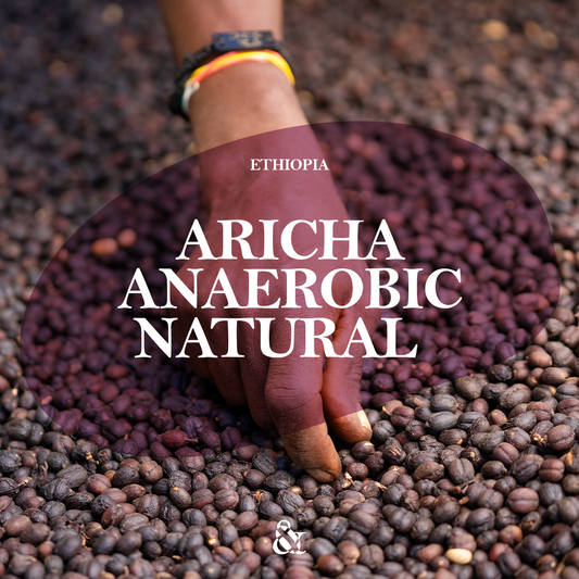 Aricha Anaerobic Natural
