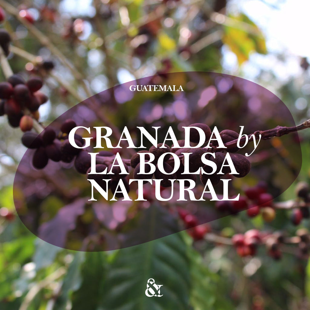 Granada Natural by La Bolsa