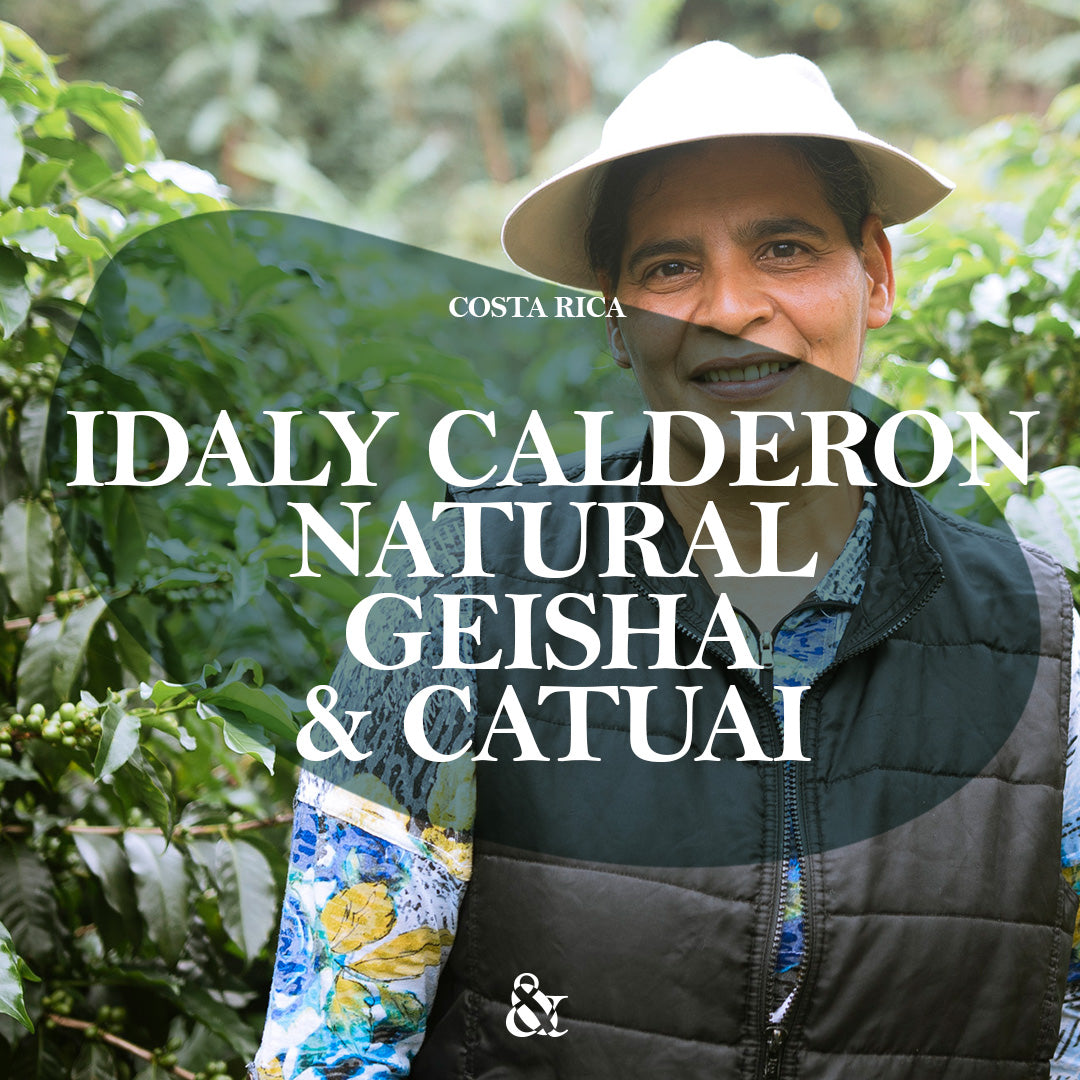 Idaly Calderon Natural Geisha & Catuai