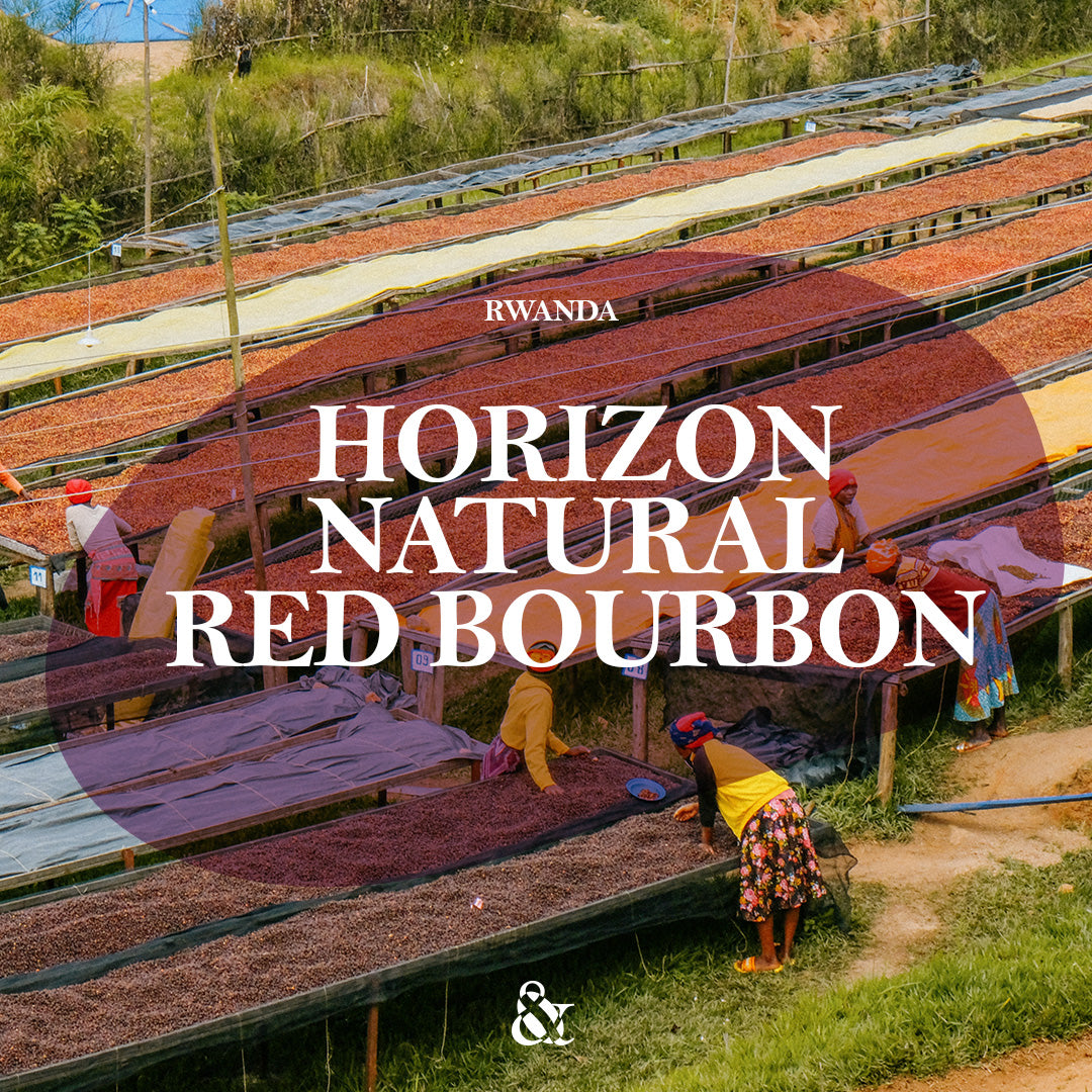 Horizon Natural Red Bourbon