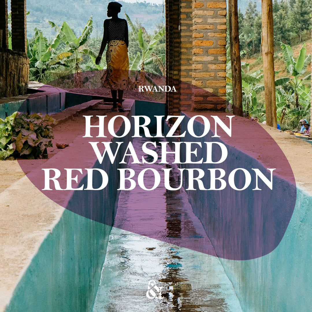 Horizon Washed Red Bourbon