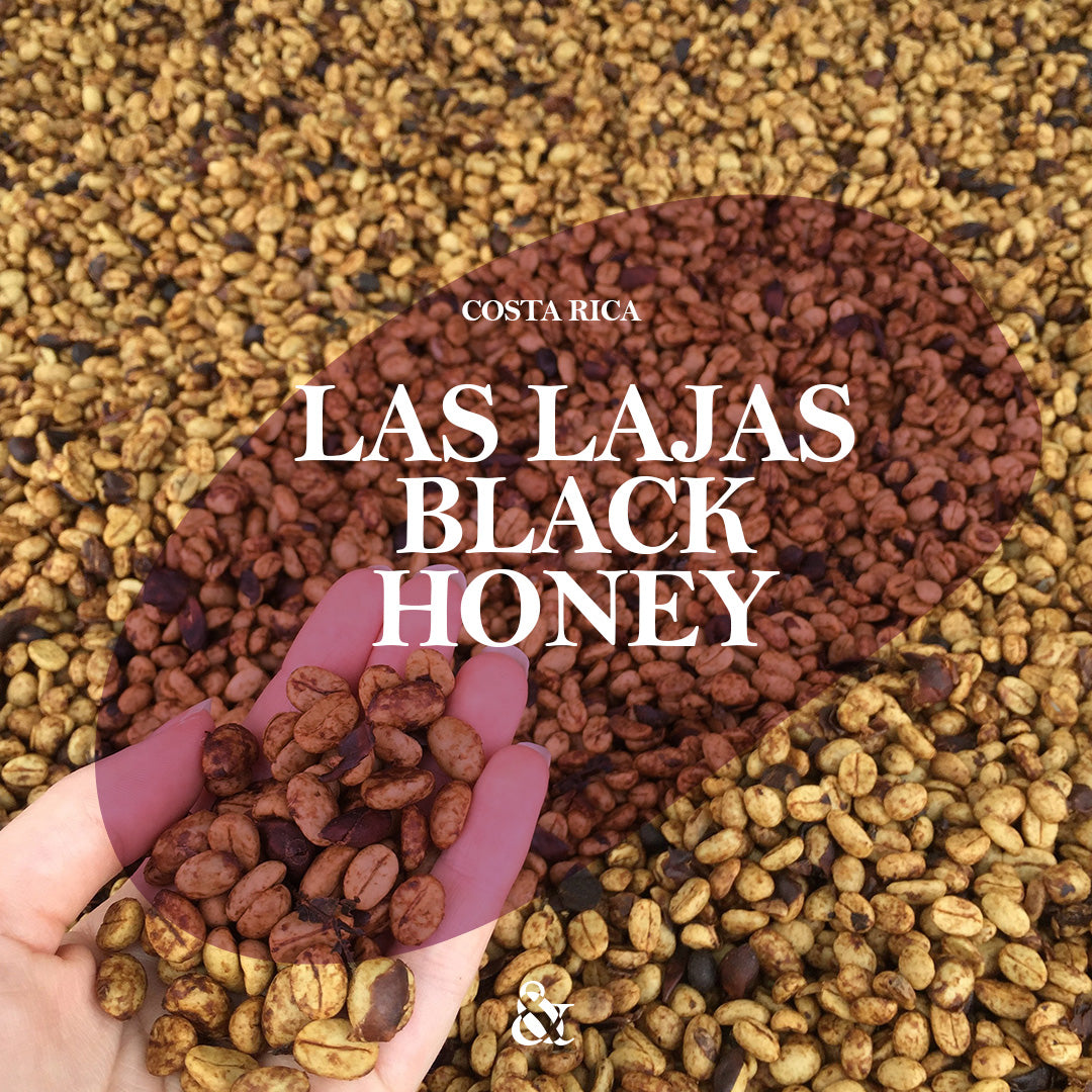 Las Lajas Black Honey by Oscar Chacón