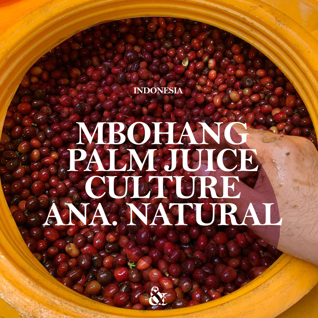 Mbohang Lot #4 Palm Juice Cultured Anaerobic Natural