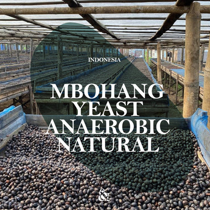 Mbohang Lot #5 Yeast Anaerobic Natural