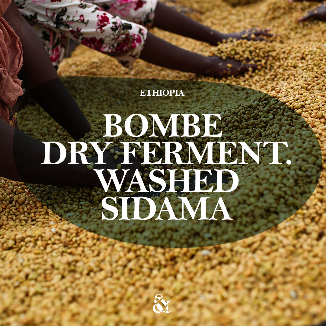 Bombe Dry Fermentation Washed Sidama