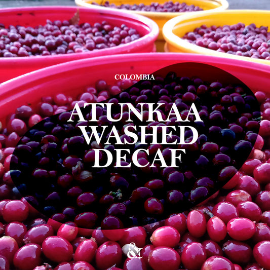 Atunkaa Decaf