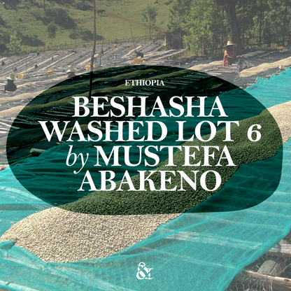 Beshasha Lot 6 by Mustefa Abakeno
