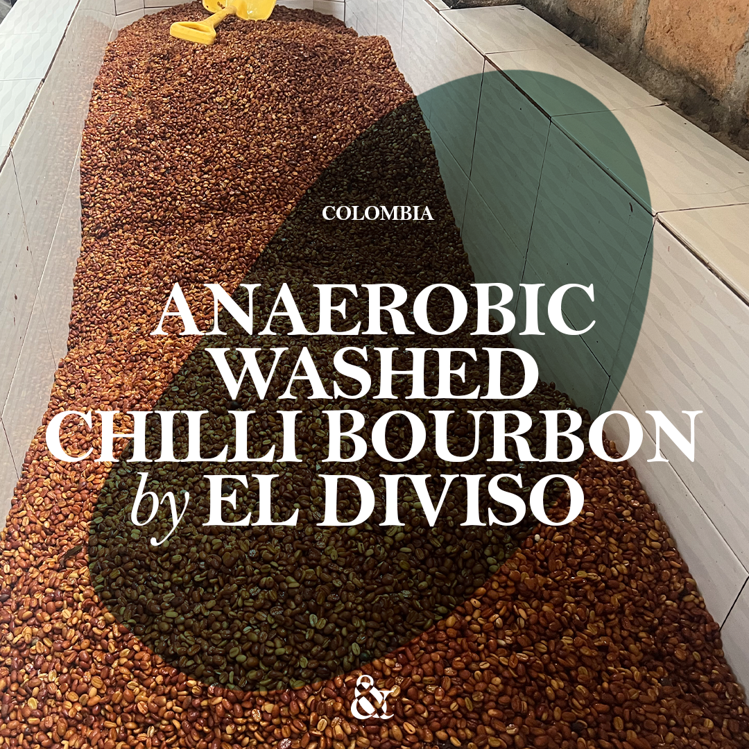 Anaerobic Washed Chilli Bourbon by El Diviso