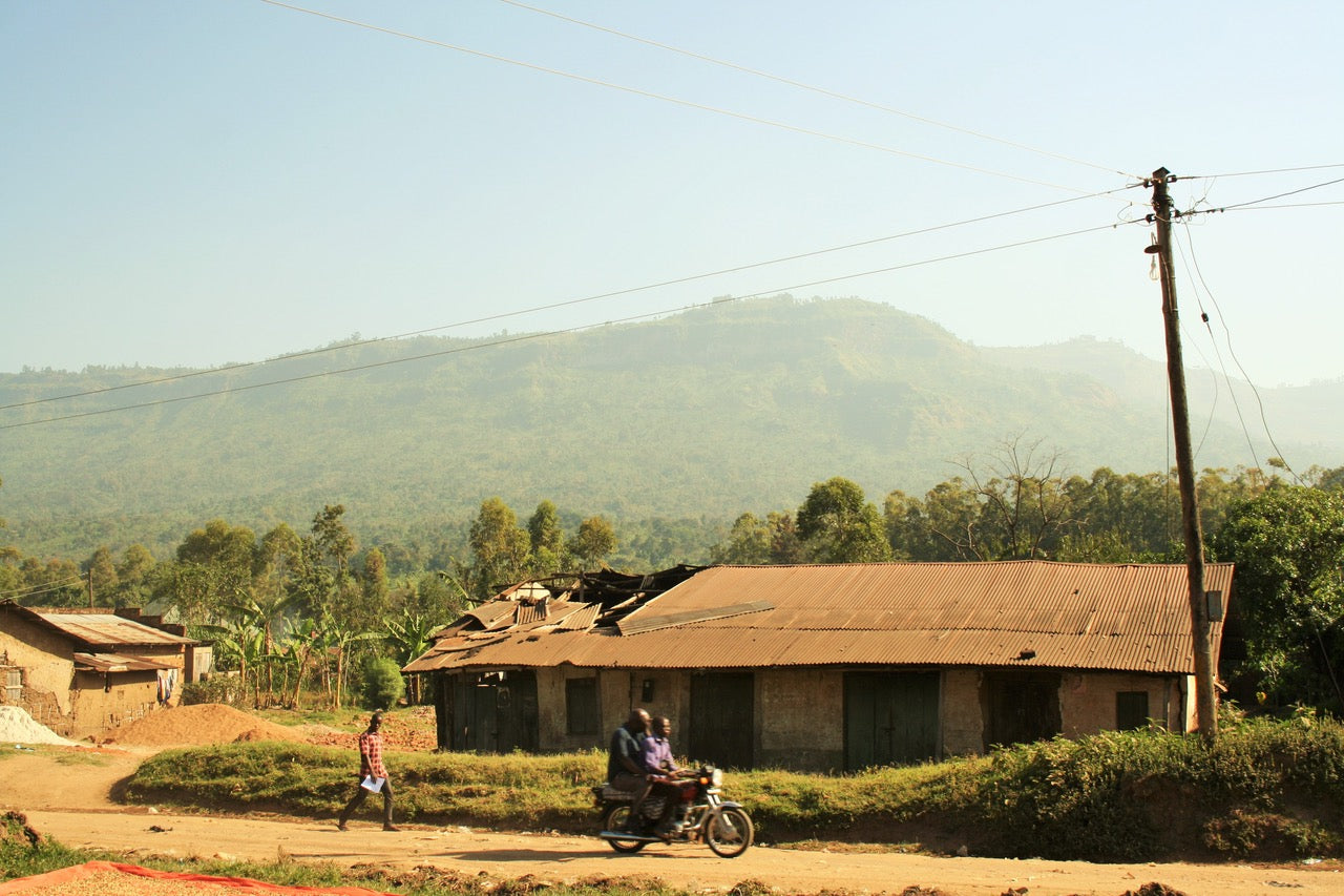 Zebugu-Busi – The Coffee Gardens