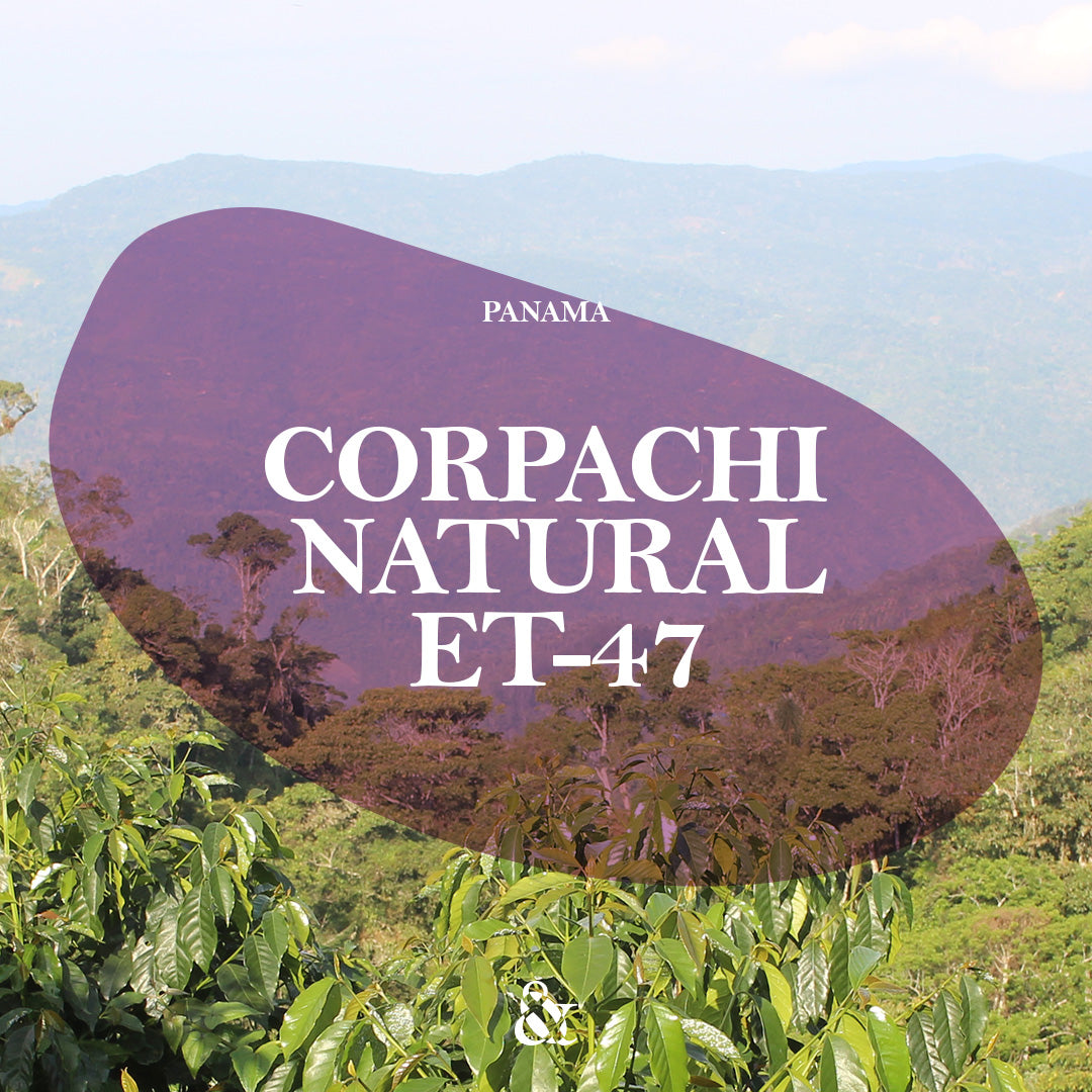 Corpachi 120hr Natural ET-47