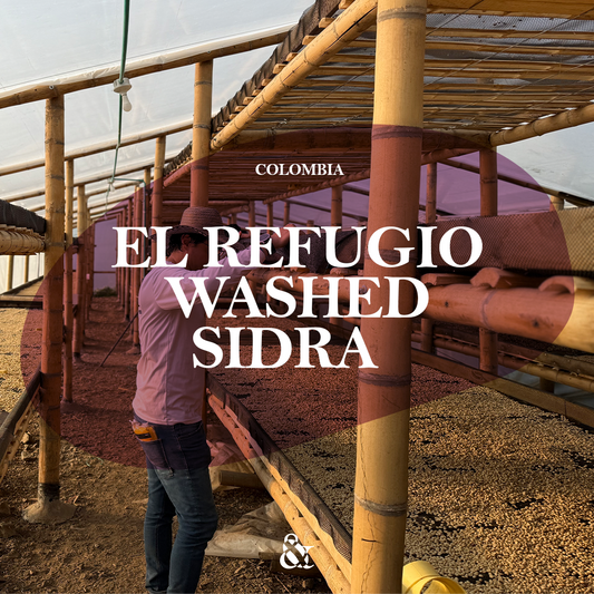 El Refugio Washed Sidra